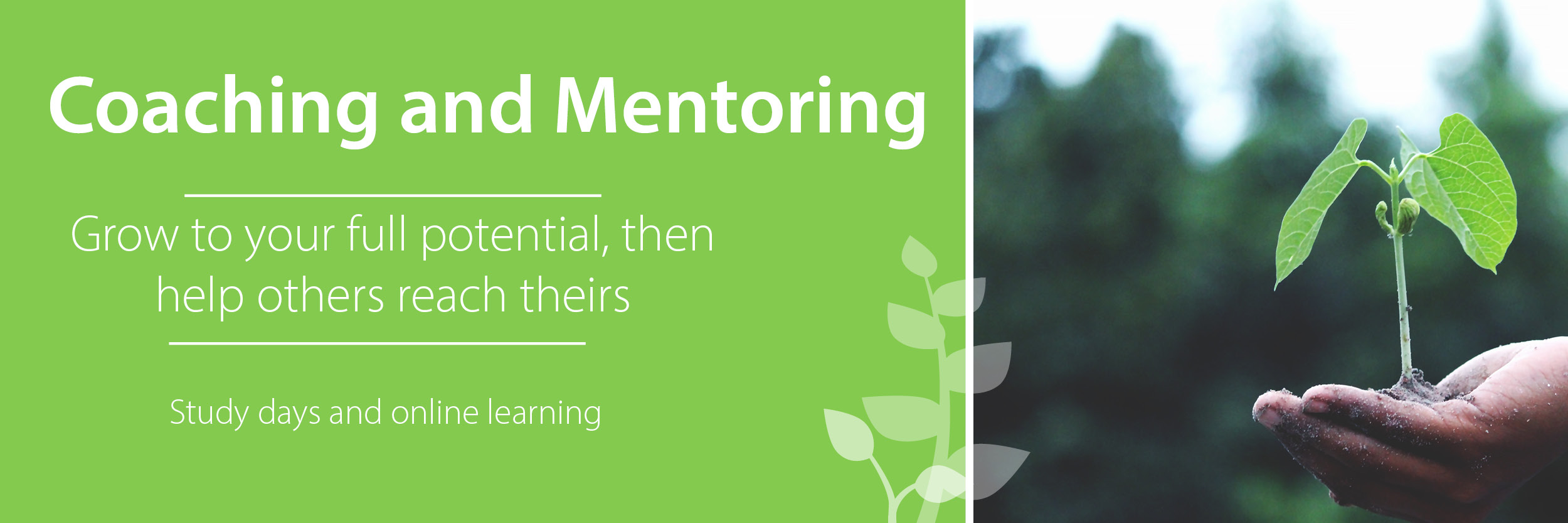 Gain practical skills to help coach and mentor others